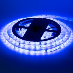 Led лента 12В синяя smd2835 60LED/m IP65, 1м