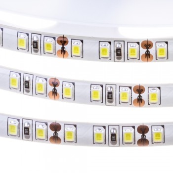 Led лента 12В белая Motoko smd2835 120LED/m IP65, 1м