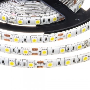 Led лента 12В белая smd5050 60LED/m IP20, 1м