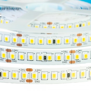 Led лента AVT 24В холодная белая smd2835 168LED/m IP20, 1м