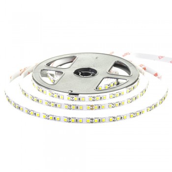 Светодиодная лента белая холодная 24V AVT smd2835 120LED/м IP20
