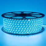 Led лента 220В синяя smd2835 120LED/m 12W IP65, 1м