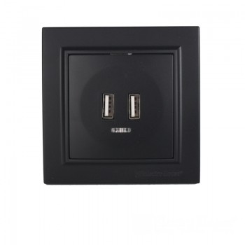 Розетка USB (2 порта) 2 A Графит