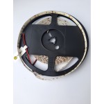 LED стрічка COLORS 120-2835-24V-IP55 9.6W 893Lm 3800K 5м (DJ120-24V-8mm-IP55-NW)