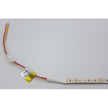 LED стрічка RISHANG 96-3528-24V-IP33 9W 2700K/6500K 5м (RD0096BC-B-MW)