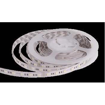 LED стрічка RISHANG 60-5050-24V-IP20 12.9/4.7W RGB + 3000K 5м (RD0260AC-A)