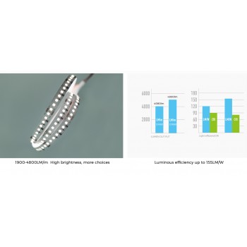 LED стрічка COLORS 160-2835-24V-IP20 16.4W 2400Lm 3000K 5м (DS8160-24V-10mm-WW)
