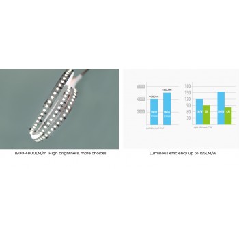 LED стрічка COLORS 256-2835-24V-IP20 34W 4800Lm 4000K 2.5м (DS8256-24V-12mm-NW)