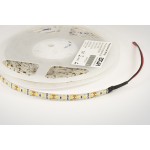 Світлодіодна стрічка ESTAR SMD 3528/120 (IP65) premium 12 V біла (6000-6500К)