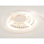 LED-стрічка ESTAR SMD 3528/112 (IP20) premium 24V нейтральна біла (3800-4300К)