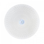 Светодиодный светильник потолочный RADIUS-48